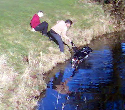 Cart in Pond